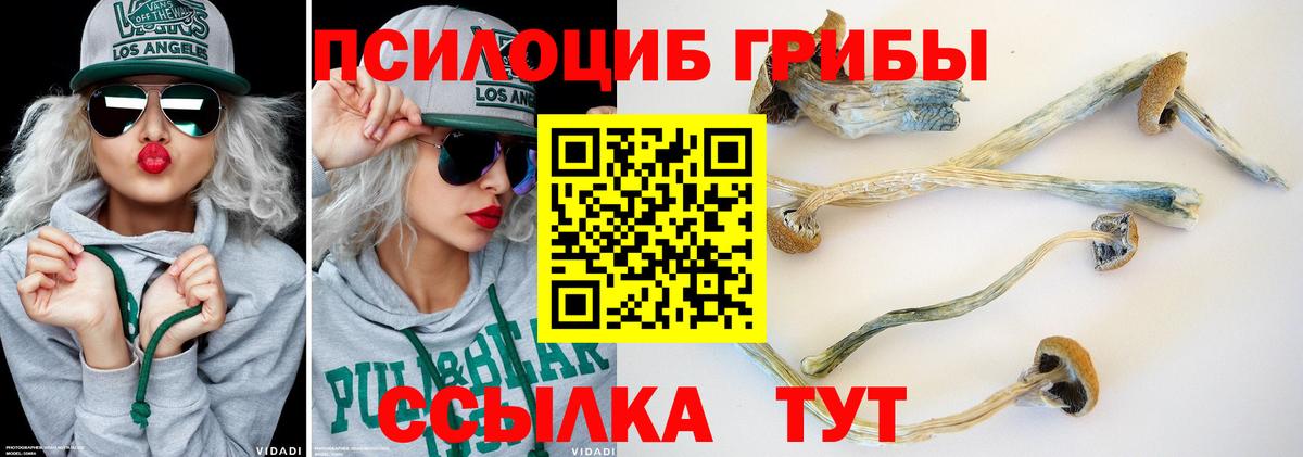 Псилоцибиновые грибы прущие грибы Архангельск